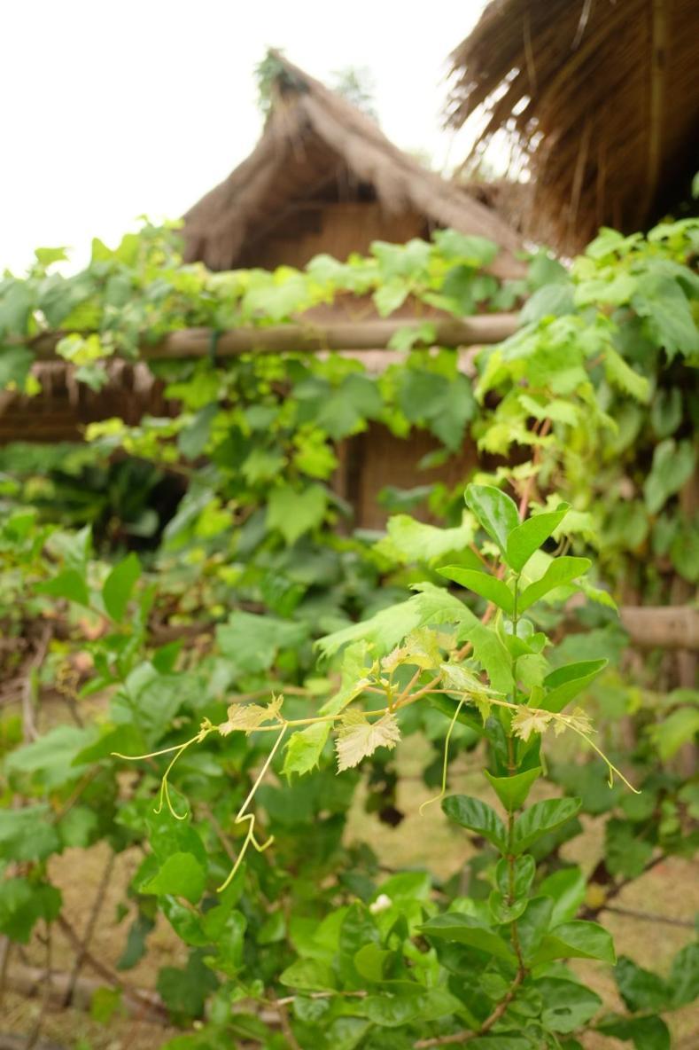 Royal Mountain Hut Glamping Ratchaburi
