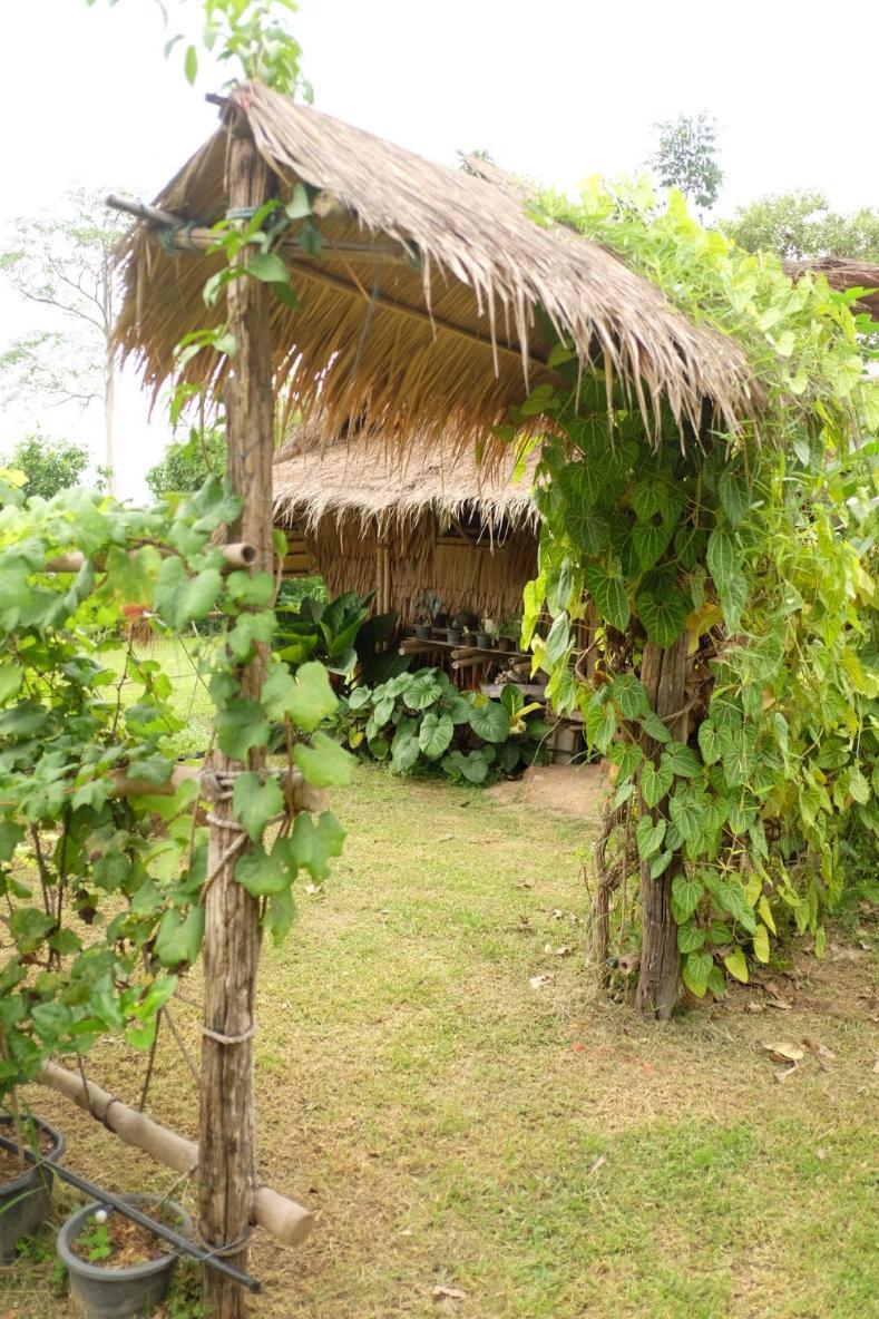 Glamping Royal Mountain Hut *