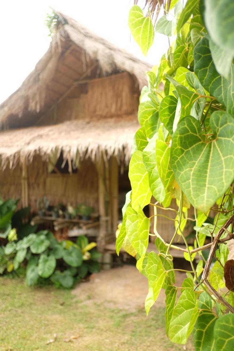 Royal Mountain Hut Glamping Ratchaburi